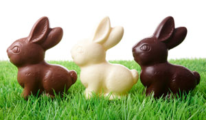 chocolate bunnies